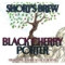 Black Cherry Porter