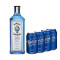 Combo Premium Bombay Gin