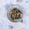 Cavolo Nero Oyster Mushrooms (NEW)