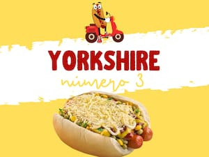 Nº3- Yorkshire
