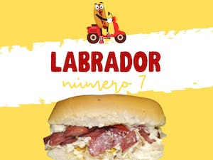 Nº7- Labrador