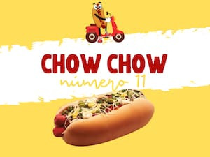 Nº11- Chow Chow