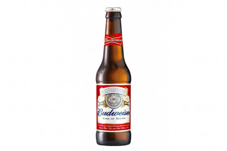 Budweiser Beer X20