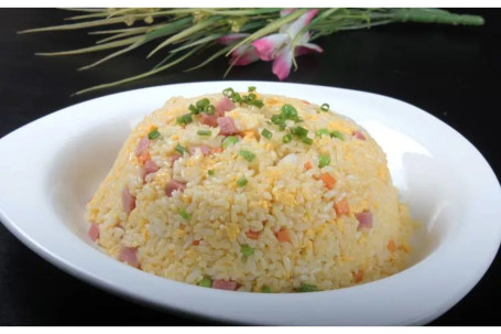 Yang Chow Fried Rice #479