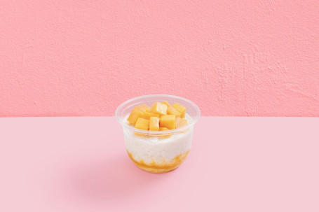 New Vegan Coconut Sticky Rice And Mango Pudding