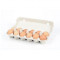 Free Range Eggs 1 Dozen 1 Dozen