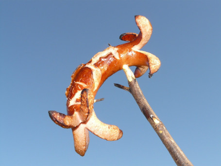 Hambúrguer De Linguiça