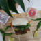 1331. Grilled Chicken Bao Burgers 2Pcs