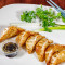 Pork And Vegetable Fried Gyoza/Dumplin (6 Pc)