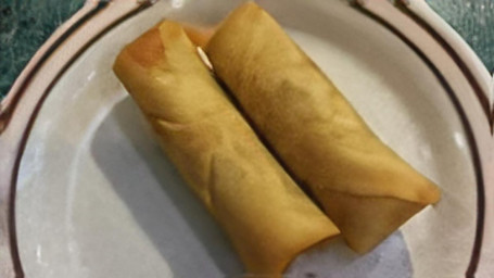 A1. Vegetable Spring Roll (2)
