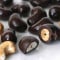 Dark Chocolate Sea Salted Cashews-4Oz
