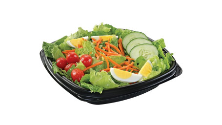 Gtg Garden Salad Com Frango