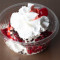 Frozen Custard Sundae Small