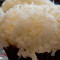 Double Coconut Cupcake