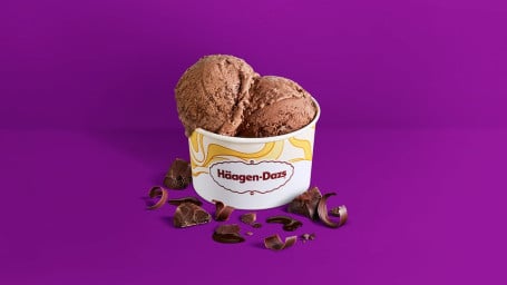 Choose 2 Flavors Regular Ice Cream Cup 9Oz