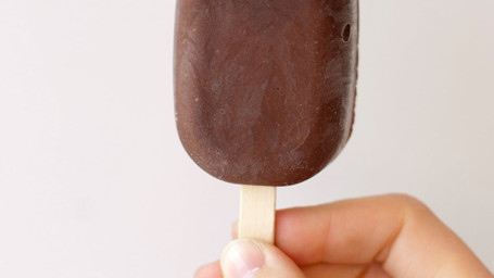 Vegan Fudge Pop