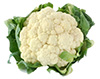 Cauliflower florida