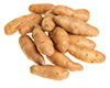 Batatas de carvalho
