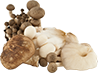 Misturas de cogumelos