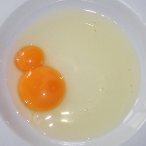 Branco de ovo