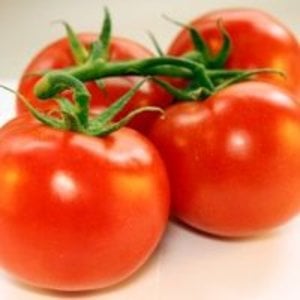 Tomates cereja ou tomates uva