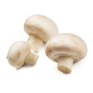 Cogumelos Botão