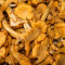 Cogumelos chanterelle