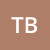 theo-braun