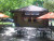 falguni-sant